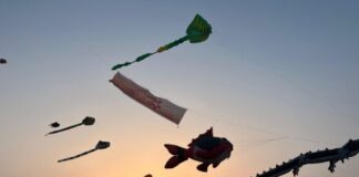 Papalotes gigantes llenan de color el cielo de Coatzacoalcos en el Festival del Mar