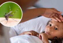 Reduce Jalisco en 90 % los casos de dengue y destaca la tasa de mortalidad materna más baja a nivel nacional