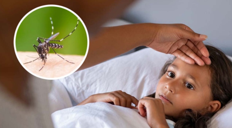 dengue aaa