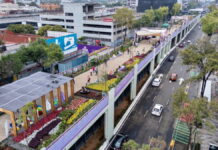 Alcanza Jardín Flotante Tlallipan medio millón de visitantes
