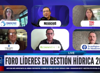 Eficiencia e inversión: Grupo Danone México y Coca-Cola México devuelven hasta 100% del agua / Por Miriam Ramírez