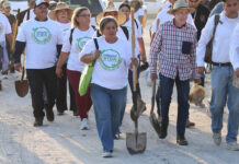 Con más de 13 mil árboles, Sonora se suma a la Jornada Nacional de Reforestación