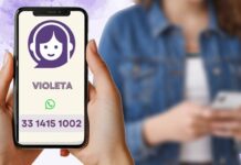 Fortalece chatbot Violeta la atención a mujeres en Jalisco, con más de 15 mil interacciones en un año