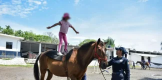 Brinda policía veracruzana equinoterapia para favorecer el desarrollo integral de niñas y niños