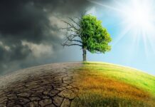 Tabasco fortalece prevención y conocimiento para reducir riesgos ante el cambio climático