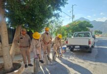 Redoblan en Querétaro esfuerzos contra el dengue
