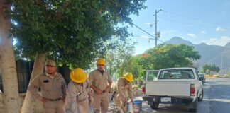 Redoblan en Querétaro esfuerzos contra el dengue