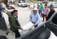 Entregan en Querétaro semilla forrajera en municipios del semidesierto