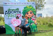 Puebla fortalece atención y protección de seres sintientes en Adopta Fest