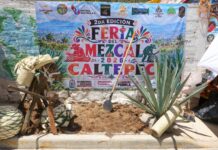 Puebla impulsa mezcal, artesanías y riqueza comunitaria en Caltepec