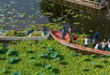 Inician jornadas de limpieza en la Laguna de San Julián, Veracruz
