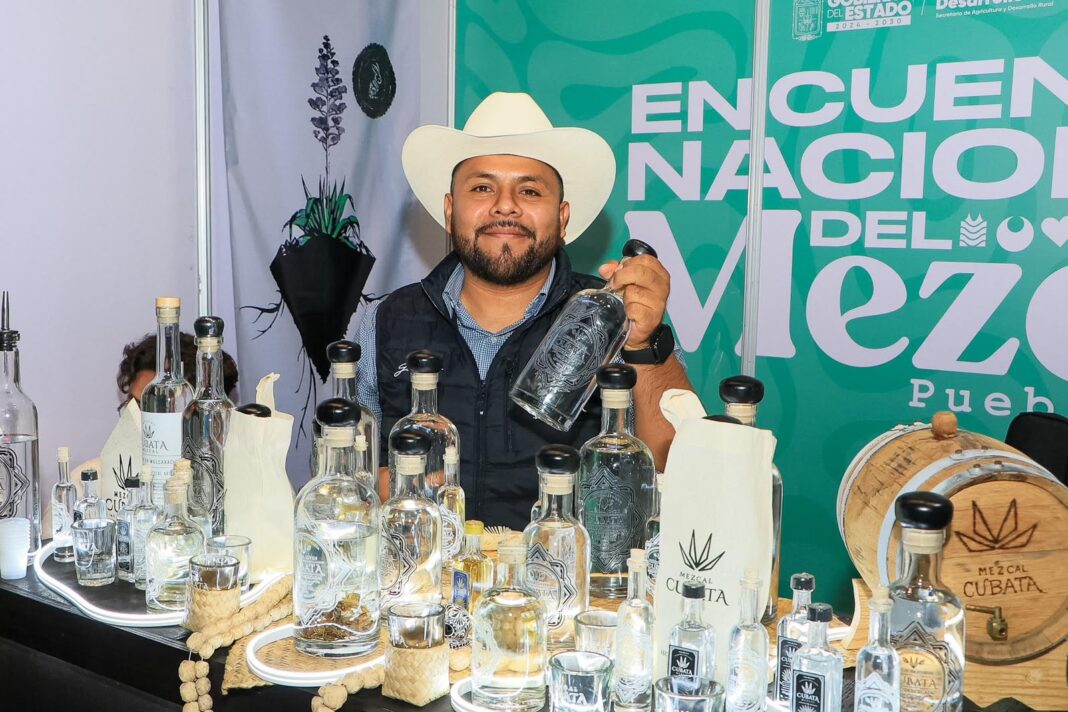 Mezcal011