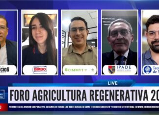 Suelo sano: Bimbo y especialistas impulsan la agricultura regenerativa