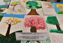 Realizan en Tabasco premiación de ganadores del Concurso Nacional Infantil 2026 “Vamos a pintar un árbol”
