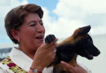 En el EdoMéx se castiga con prisión el maltrato a seres sintientes: Delfina Gómez