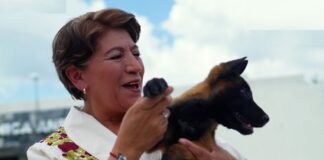 En el EdoMéx se castiga con prisión el maltrato a seres sintientes: Delfina Gómez