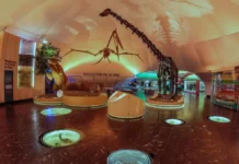 Descubre la ciencia, la naturaleza y la imaginación en el Museo de Historia Natural y Cultura Ambiental de la CDMX