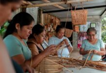 Lanzan una forma novedosa de conocer Veracruz: Turismo comunitario