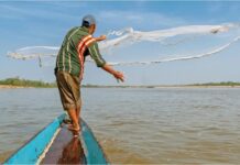 Destinan en Tabasco 260.8 millones de pesos al programa Pescando Vida