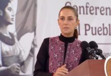 Sheinbaum confirmó conversación con Donald Trump sobre temas comerciales / Por Diana Domínguez Galván