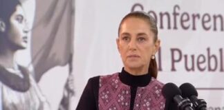 Sheinbaum confirmó conversación con Donald Trump sobre temas comerciales / Por Diana Domínguez Galván