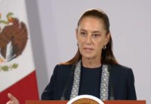 Se prohibe el uso del teléfono celular a los niños en la escuela / Por Diana Domínguez Galván