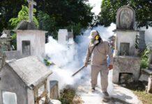 Yucatán refuerza la fumigación en panteones por Días de Fieles Difuntos