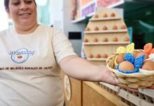 Lidera Jalisco producción de huevo para plato en México