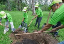 Supera Jalisco meta estatal de reforestación con 319 mil plantas