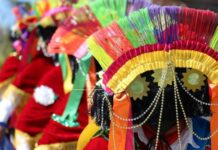Puebla participa en el XXIX Festival de la Huasteca Veracruzana