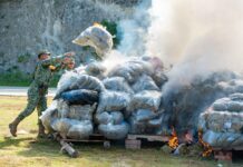 Realizan en Oaxaca incineración de narcóticos y destrucción de objetos del delito