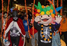 El Mictlán se llenó de vida: más de 900 personas caminaron entre tradición y espíritu comunitario en la CDMX