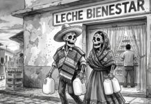 ASF: hasta los muertos robaron leche del bienestar / Por Mauricio Flores