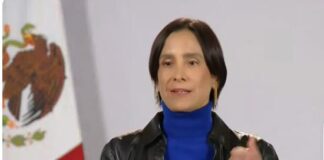 Detecta gobierno evasión millonaria por “huachicol”/ Por Diana Domínguez Galván