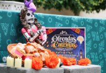 Realizarán en Puebla Primer Festival Regional de Ofrendas y Catrinas