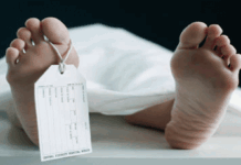 México lidera en vidas perdidas por precariedad sanitaria / Por Mauricio Flores