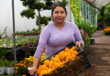 Productores atlixquenses reconocen estrategia estatal para impulsar al campo