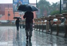Persistirán lluvias en Veracruz durante las próximas horas: Comité Estatal de Emergencias
