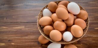 ¡5 Mil Desayunos dñgratis en la CDMX para celebrar el Día Mundial del Huevo!