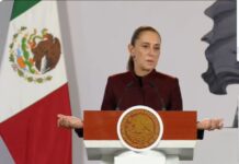 Que se audite al INE, pide Sheinbuam / Por Diana Domínguez Galván