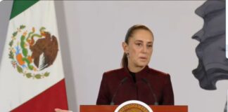 Que se audite al INE, pide Sheinbuam / Por Diana Domínguez Galván