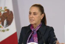 “No se adelanten”, dijo Sheinbaum sobre posible detención de Taddei / Por Diana Domínguez Galván