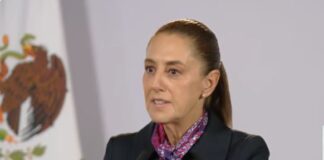 “No se adelanten”, dijo Sheinbaum sobre posible detención de Taddei / Por Diana Domínguez Galván