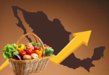 Alza en precios de frutas y verduras duplica a la inflación general en México / Por Alejandro Durán