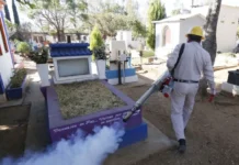 Refuerzan en Jalisco brigadas en panteones para prevenir el dengue y mantener la reducción de casos