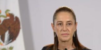 Anunció Sheinbaum decreto para prohibir contenidos violentos en redes sociales / Por Diana Domínguez Galván