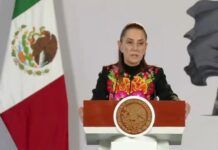 Es “cobarde” la crítica personal de la oposición a Taddei: Sheinbaum / Por Diana Domínguez Galván