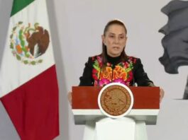 Es “cobarde” la crítica personal de la oposición a Taddei: Sheinbaum / Por Diana Domínguez Galván