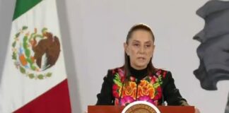 Es “cobarde” la crítica personal de la oposición a Taddei: Sheinbaum / Por Diana Domínguez Galván