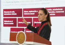 Este es el contenido del Decreto contra la violencia en plataformas digitales / Por Diana Domínguez Galván